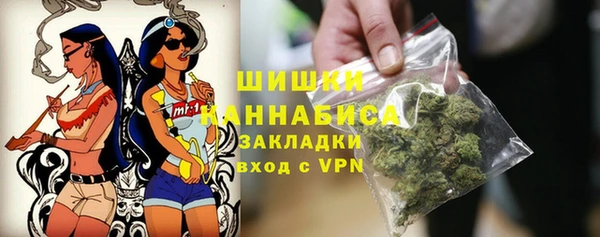 не бодяженный Иннополис