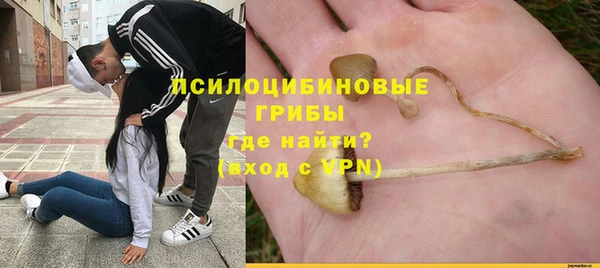 меф Инсар